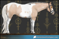 Horse Color:Silver Blue Roan Pearl Tobiano Frame 
