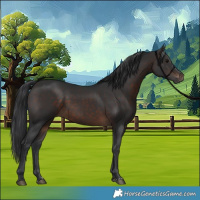 Horse Color:Brown 