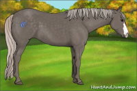 Horse Color:Silver Black 