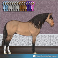 Horse Color:Bay Dun 