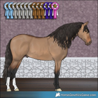 Horse Color:Bay Dun 