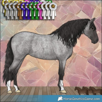 Horse Color:Smoky Blue Roan 