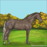 Horse Color:Silver Black 
