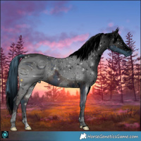 Horse Color:ERROR: UNKNOWN ANOMALY