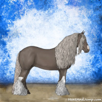 Horse Color:Silver Black 