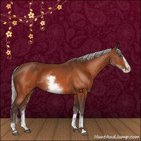 Horse Color:White Spotted Silver Bay Splash 