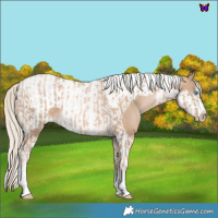 Horse Color:Chocolate Palomino Pearl Tobiano Frame  and Chocolate Palomino Pearl Tobiano Frame 