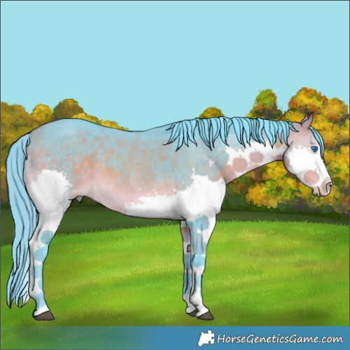Horse Color:Watercolor Buckskin Splash 