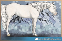 Horse Color:Cremello Dun Splash  and Cremello Dun Splash Rabicano 