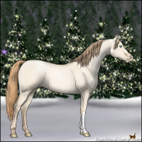 Horse Color:Gold Champagne Pearl Dun 