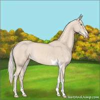 Horse Color:Cremello Tobiano 