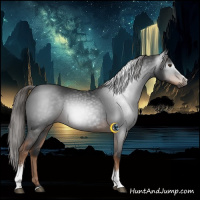 Horse Color:Gray White Spotted Liver Chestnut Tobiano 