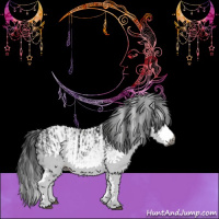 Horse Color:Gray White Spotted Black and Gray White Spotted Black
