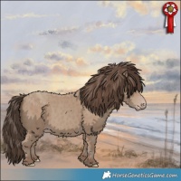 Horse Color:Classic Champagne 