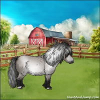 Horse Color:Gray Grullo Roan 