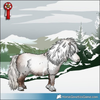 Horse Color:Gray Silver Black Pearl Tobiano 