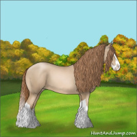 Horse Color:Smoky Black Pearl Splash 