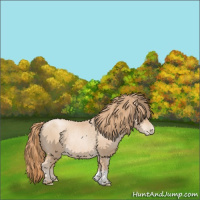 Horse Color:Gold Champagne Pearl Rabicano  and Gold Champagne Pearl Rabicano 