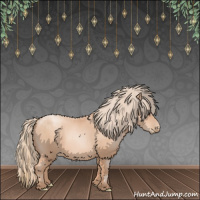 Horse Color:Gold Champagne Pearl Rabicano  and Gold Champagne Pearl Rabicano 