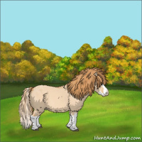 Horse Color:Red Dun Splash 