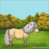 Horse Color:Silver Buckskin 