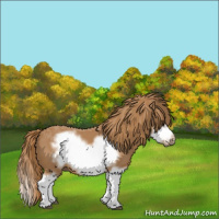 Horse Color:Chestnut Splash Frame