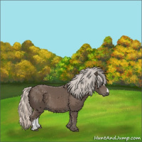 Horse Color:Silver Black 