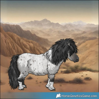 Horse Color:Grullo Roan Tobiano 