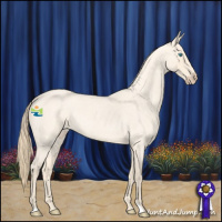 Horse Color:Perlino Roan 