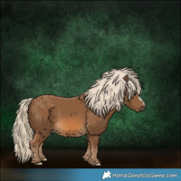 Horse Color:Chocolate Palomino 