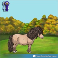 Horse Color:Amber Champagne 