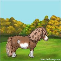 Horse Color:Chestnut Splash Frame 