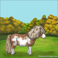 Horse Color:Chestnut Splash Frame