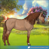 Horse Color:Red Dun 