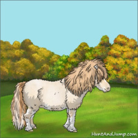 Horse Color:Buckskin Roan Pearl and Buckskin Roan Pearl Splash