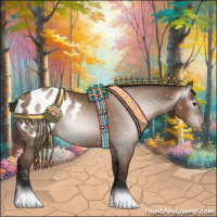 Horse Color:Gray Black Pearl Appaloosa