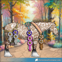 Horse Color:Gray Grullo Pearl Appaloosa 