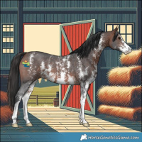 Horse Color:Bay Sabino 