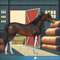 Horse Color:Brown Sabino