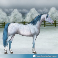 Horse Color:Watercolor Bay Ice Roan Tobiano Varnish 