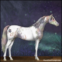 Horse Color:Nacre Silver Blue Ice Roan Tobiano Appaloosa 