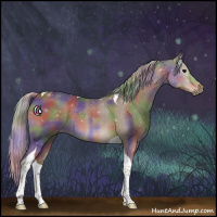 Horse Color:Nacre Silver Black Tobiano
