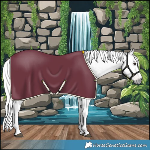 Horse Color:Gray Bay Frame 