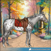 Horse Color:White Spotted Grullo Blanket 