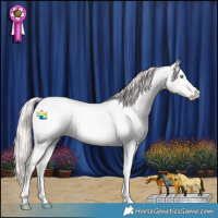 Horse Color:Smoky Creme Roan 