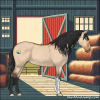 Horse Color:Bay Roan Dun 