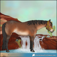 Horse Color:Brown 