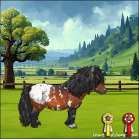 Horse Color:White Spotted Bay Appaloosa 