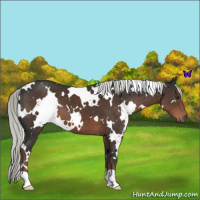 Horse Color:White Spotted Liver Chestnut Mushroom 