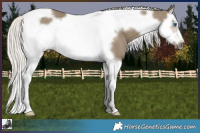 Horse Color:Silver Smoky Grullo Splash Tobiano Frame 